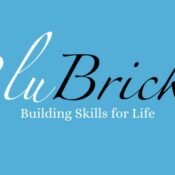 BluBrick