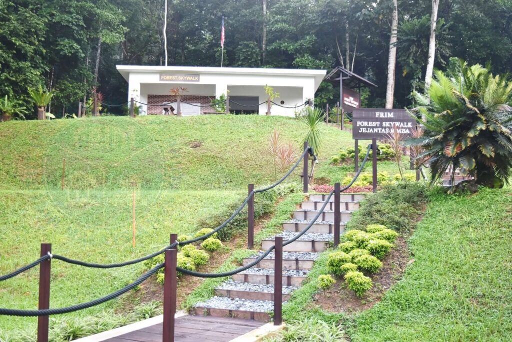 FRIM Forest Skywalk - Kepong Botanic Gardens