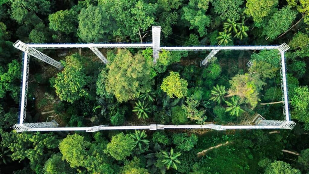 FRIM Forest Skywalk - Kepong Botanic Gardens