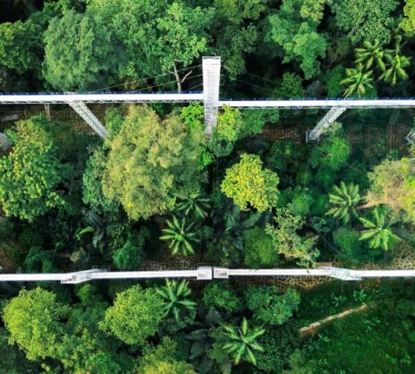 FRIM Forest Skywalk – Kepong Botanic Gardens