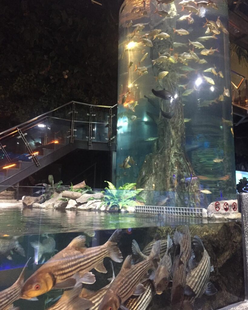 Aquaria KLCC