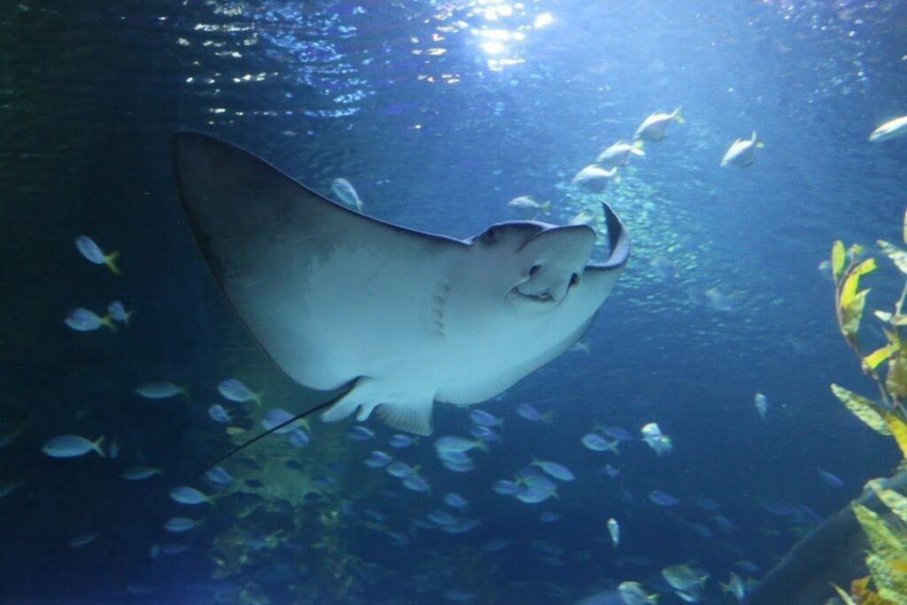 Aquaria KLCC