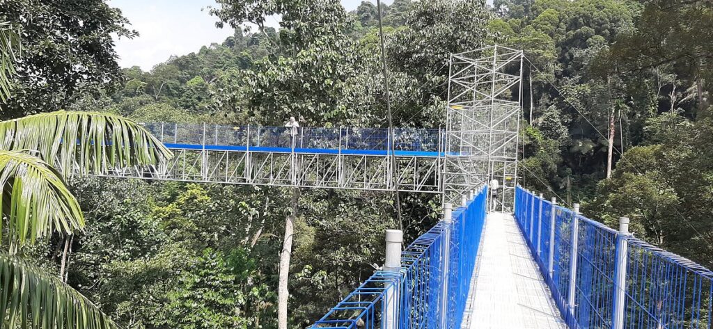 FRIM Forest Skywalk - Kepong Botanic Gardens