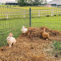Farm Fresh @ UPM