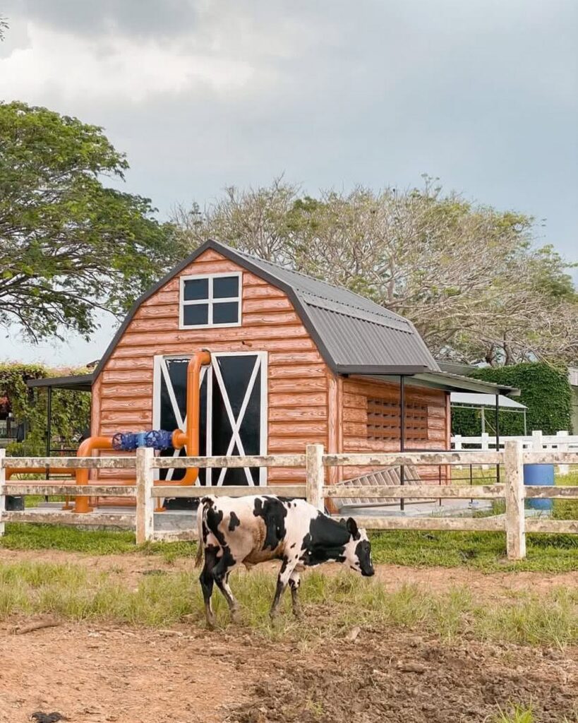 Farm Fresh @ UPM