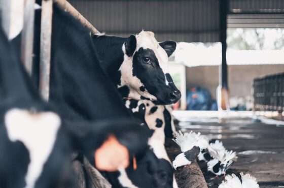 Farm Fresh @ UPM