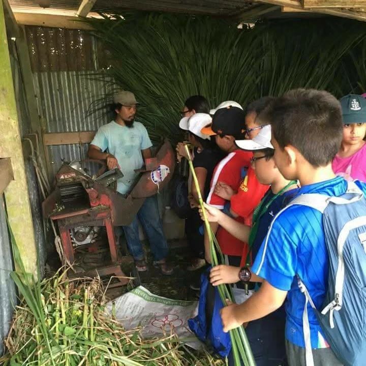 Janda Baik Goat Farm