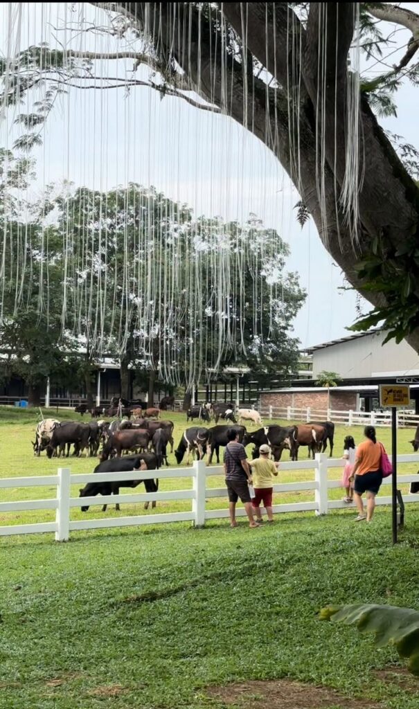 Farm Fresh @ UPM