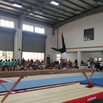 Flipper Roo Gymnastics