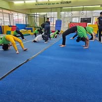 Flipper Roo Gymnastics