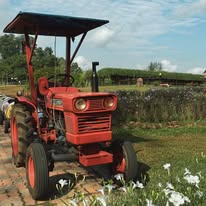 Farm Fresh @ UPM
