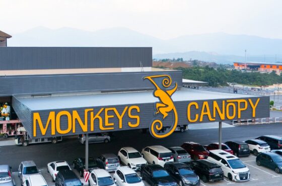 Monkeys Canopy Resort