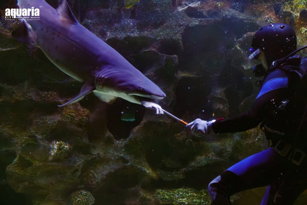 Aquaria KLCC