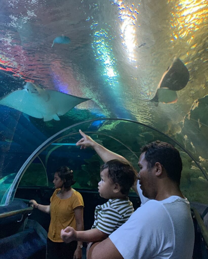 Aquaria KLCC