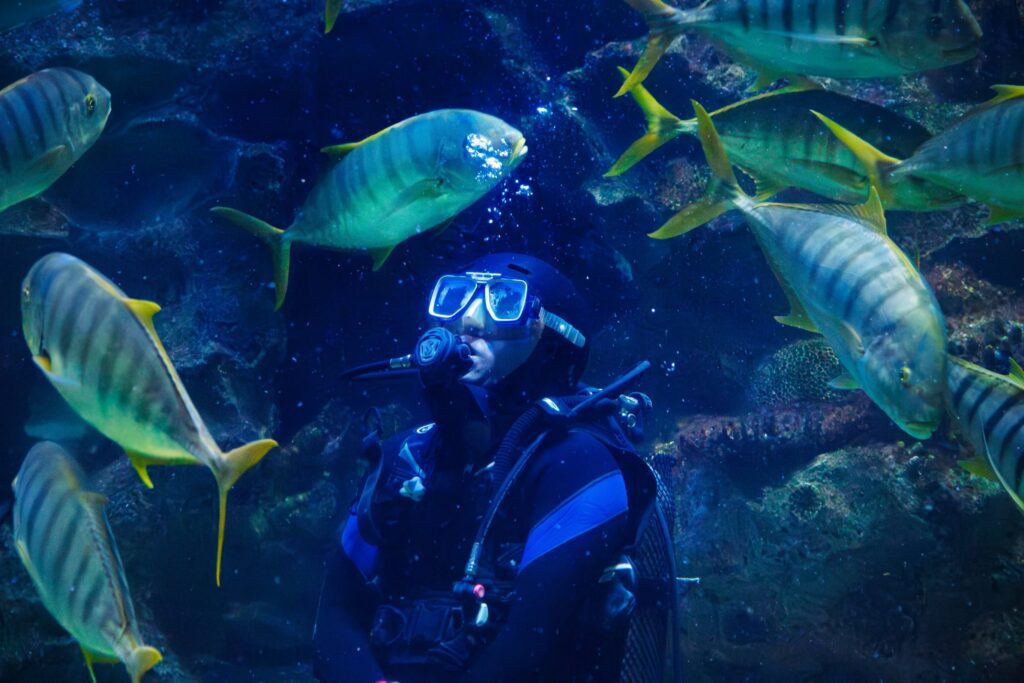 Aquaria KLCC
