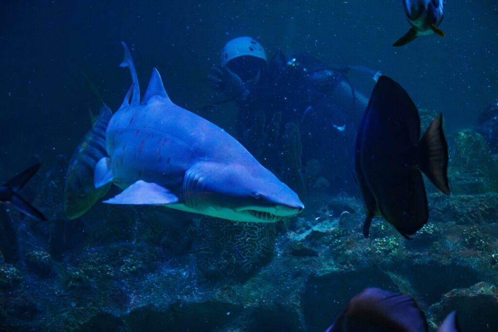 Aquaria KLCC