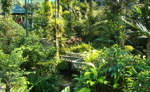 Kuala Lumpur Butterfly Park