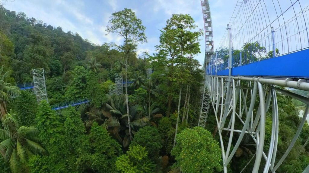 FRIM Forest Skywalk - Kepong Botanic Gardens