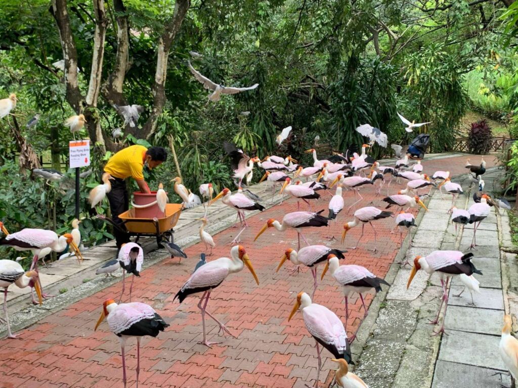 KL Bird Park