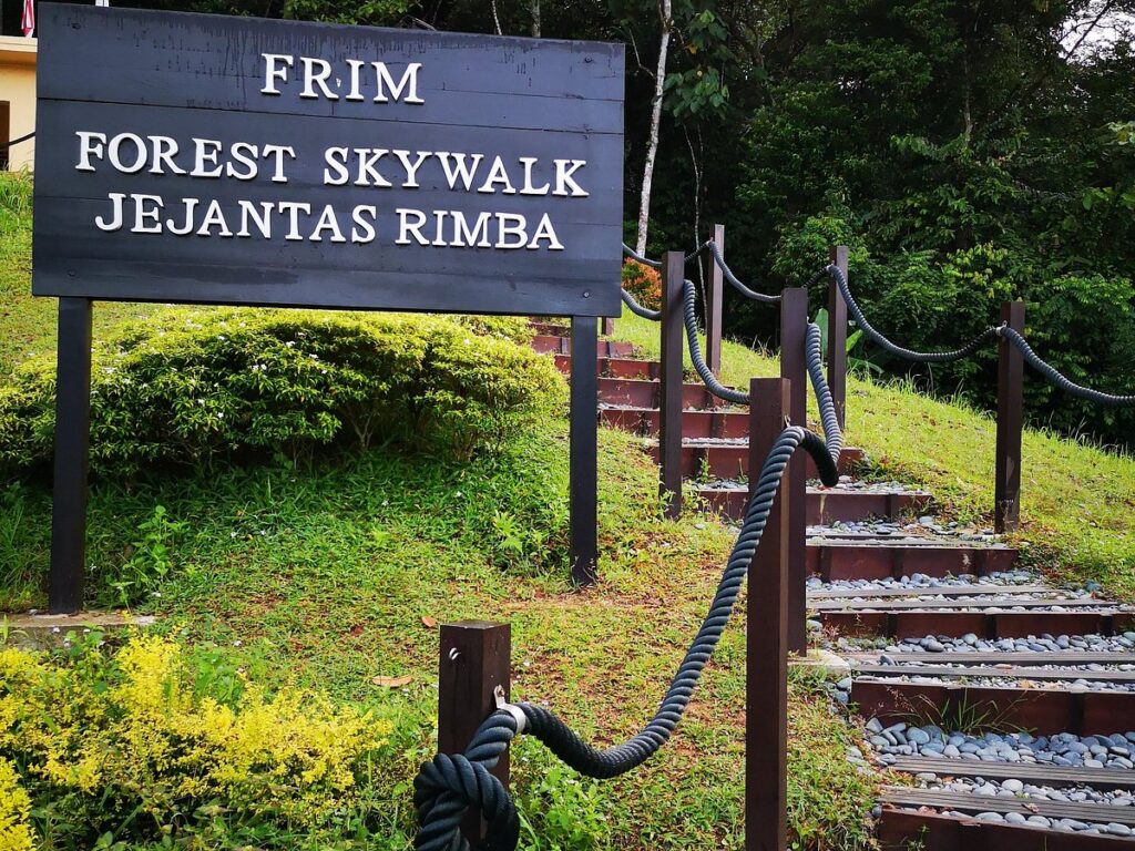 FRIM Forest Skywalk - Kepong Botanic Gardens