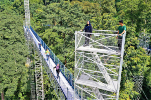 FRIM Forest Skywalk - Kepong Botanic Gardens
