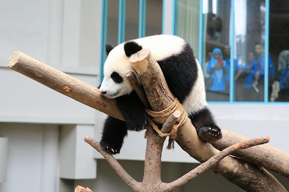 Zoo Negara