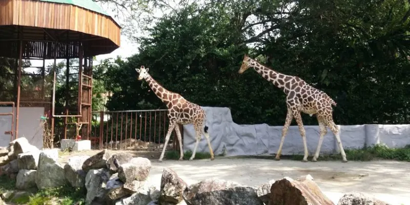 Zoo Negara